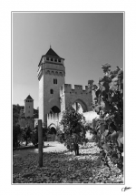 Valentre-3