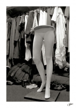 Venus-a-coulisse-2