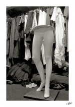 Venus-a-coulisse