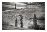 Vers-le-Tarn-NB