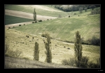 Vers-le-Tarn