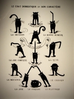 catsou