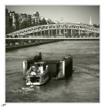 fleuve