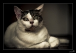 pensive