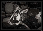 vache-qui-pleure
