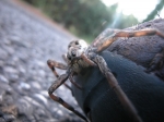 DSCN0212