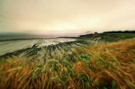 2472_08_opt168