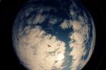 2474_0_opt114