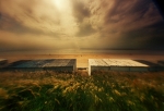 3659_13_opt147