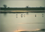 Botswana_2001_A_0001_2