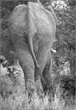 Botswana_2001_A_0005_1