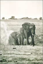 Botswana_2001_A_0006_2