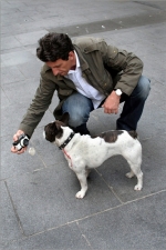 DogM_opt131