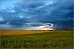 IMG_0300_x_psp_02_comp