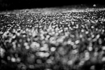 IMG_0477_o187ex