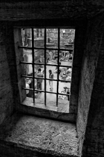 IMG_0866b_opt187ex