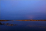 IMG_1218_MareeMontanteVendee_small