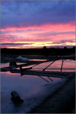 IMG_1233_x_psp_comp