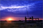 IMG_1250_x_003_psp_comp