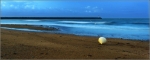 IMG_1279_x_psp_004_Boisvinet_Vendee_comp