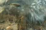 IMG_1651_small_comp