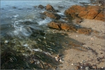 IMG_1652_small_comp
