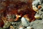 IMG_1704_f11_Av125_iso100_Meduses_comp