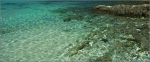 IMG_1708_sansmaree_comp