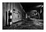 IMG_1789_opt197ex
