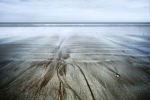 IMG_2387_w700_o188
