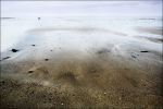 IMG_2451_DXO_pp_noncomp_depetouilled_w800_o200