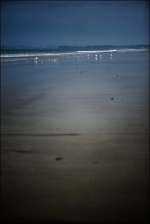 IMG_2542_h600_o120