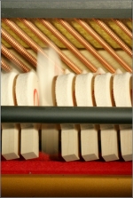 IMG_3499_comp