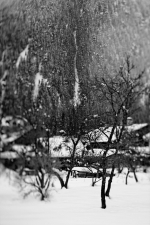 IMG_7514_DXO_h650_o197ex
