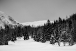 IMG_7733_DXO_pp_w750_o197ex