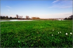 PontNormandie_IMG_4751_comp
