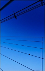 PontNormandie_IMG_4759