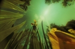 _12_0621_opt151