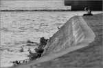 m_IMG_3937_FemmeBordSeine_comp