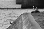 m_IMG_3937_FemmeBordSeine_crop_compp