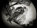 ny_0223_b_opt130