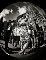 ny_0243_opt137
