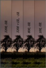 t_composite_opt193