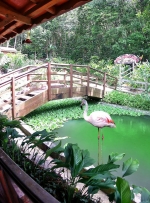 0372-12 -parc animalier-Jardin