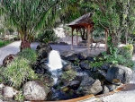 0435-12 -Jardin botanique-Jardin