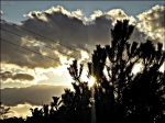 COUCHE