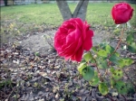 Photollllll39