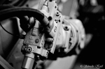 _DSC1860cc