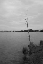 photo2012