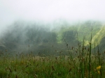 P1000562_2k